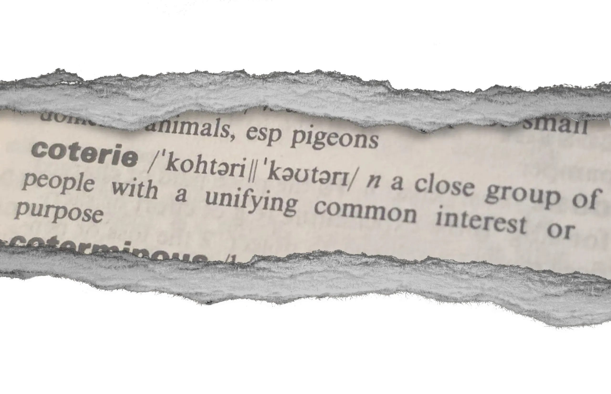 A torn dictionary clipping defining ‘coterie’: a close group of people with a unifying common interest or purpose.